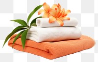 PNG Towel flower plant relaxation. 