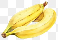 PNG Banana plant food white background. AI generated Image by rawpixel.