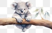 PNG Koala wildlife mammal animal. AI generated Image by rawpixel.