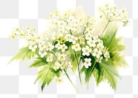 PNG Blossom flower plant green. AI generated Image by rawpixel.