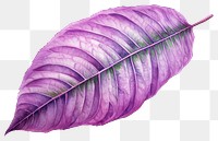 PNG Leaf purple plant freshness. AI generated Image by rawpixel.
