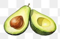 PNG Avocado fruit plant food. AI generated Image by rawpixel.