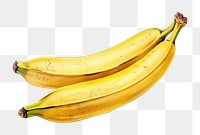 PNG Banana fruit plant food. AI generated Image by rawpixel.