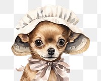 PNG Dog chihuahua drawing mammal. 