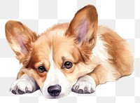 PNG Dog papillon drawing mammal. 