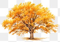 PNG Tree drawing autumn plant. AI generated Image by rawpixel.