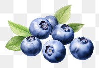 PNG Blueberry fruit plant food. 