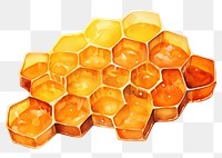 PNG Honeycomb invertebrate apiculture. 