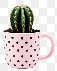 PNG Cactus plant cup mug. 