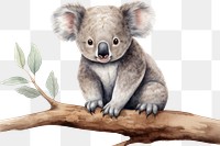 PNG Koala wildlife mammal animal. 