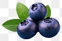 PNG Blueberry fruit plant food. 