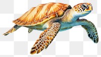 PNG Reptile animal turtle sea. AI generated Image by rawpixel.