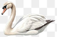 PNG Swan animal white bird. AI generated Image by rawpixel.