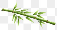 PNG Bamboo plant white background freshness. 