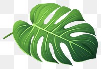 PNG Plant leaf freshness clothing. 