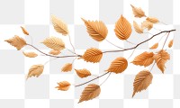 PNG Leaves plant leaf tree. AI generated Image by rawpixel.
