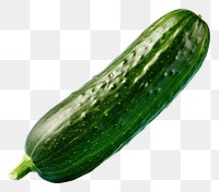PNG Vegetable cucumber zucchini squash. AI generated Image by rawpixel.