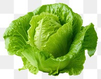 PNG Vegetable lettuce plant food. 