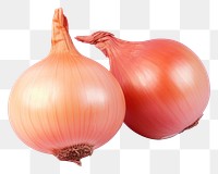 PNG Vegetable onion shallot plant. 