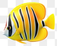 PNG Fish animal white background pomacentridae. 