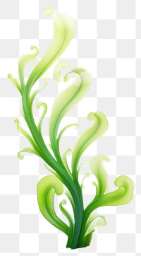 PNG Plant graphics pattern blossom. 