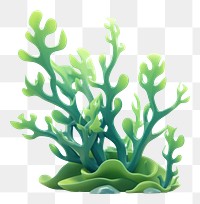 PNG Plant sea art underwater