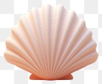 PNG Shell clam invertebrate simplicity. 