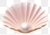 PNG Pearl seashell lighting jewelry