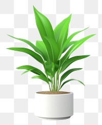 PNG Plant leaf houseplant freshness. AI generated Image by rawpixel.