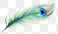 PNG Peacock feather pattern drawing. 