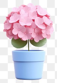 PNG Hydrangea flower plant petal. AI generated Image by rawpixel.