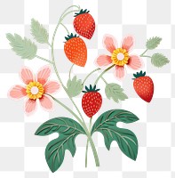 PNG Strawberry fruit pattern plant. 