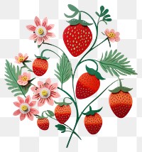 PNG Strawberry fruit plant food. 