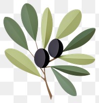 PNG Plant olive fruit leaf. 