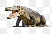 Dinosaur reptile animal aggression. AI generated Image by rawpixel.