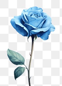 PNG Flower rose plant blue. 