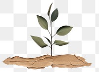 PNG Plant paper leaf soil. AI generated Image by rawpixel.