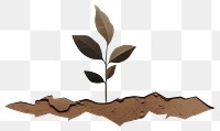 PNG Plant soil leaf seedling. 