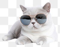 PNG Glasses sunglasses mammal animal transparent background