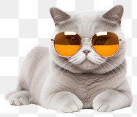 PNG Glasses sunglasses mammal animal transparent background