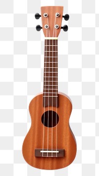 PNG Guitar transparent background performance fretboard. 