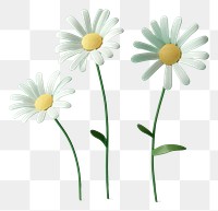 PNG Flower daisy plant green. AI generated Image by rawpixel.