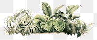 PNG Drawing plant outdoors nature. 