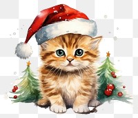 PNG Christmas kitten mammal animal