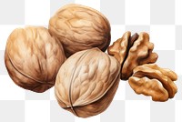 PNG Nut walnut plant food. 