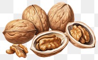 PNG Nut walnut plant food. 