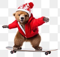 PNG Bear skateboard portrait mammal transparent background