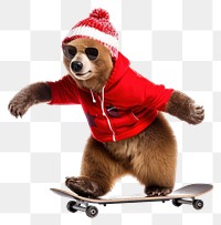 PNG Skateboard portrait mammal winter transparent background