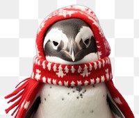 PNG Christmas penguin animal bird. 