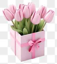 PNG Tulip flower plant gift. 